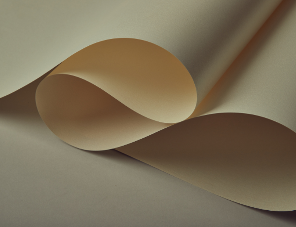 Projekt bez nazwy (15)